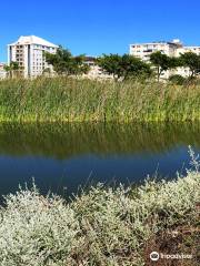 Greenpoint Park and Biodiversity Garden