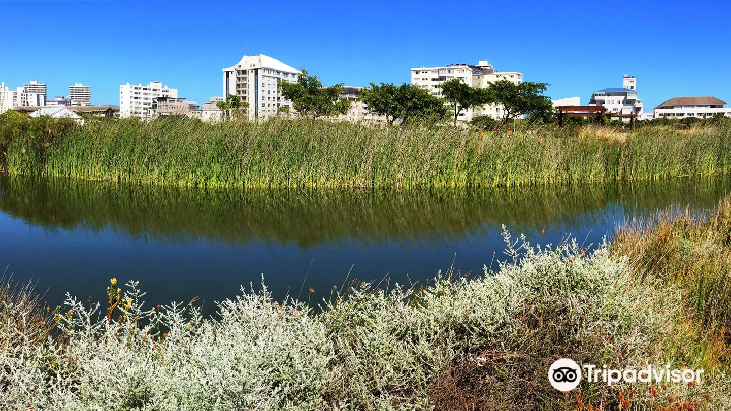 5_สวนสาธารณะและสวนนิเวศน์กรีนพอยนท์