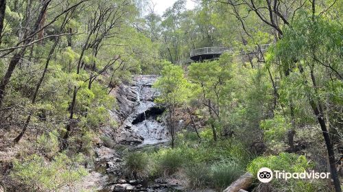 Beedelup National Park