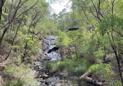 Beedelup National Park