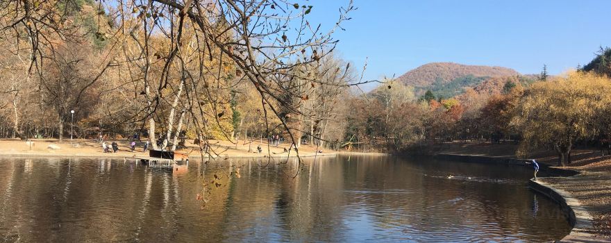 Park "Bachinovo"