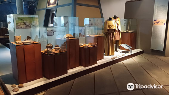 Vikingemuseet Lindholm Høje