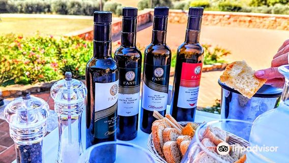 Montalcino