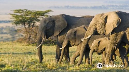 Mosi-oa-Tunya National Park