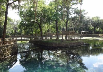 Radium Springs gardens