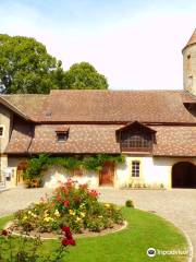 The Chateau de Chenaux