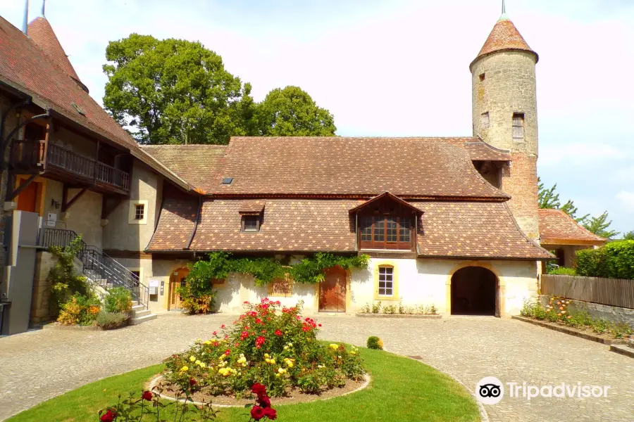 The Chateau de Chenaux