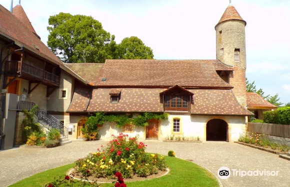 濱湖埃斯塔瓦耶