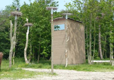 Het Zwin Natuur Park