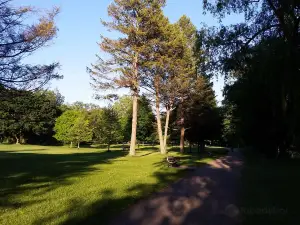 ​Gibbons Park