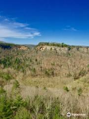 Red River Gorge Geological Area