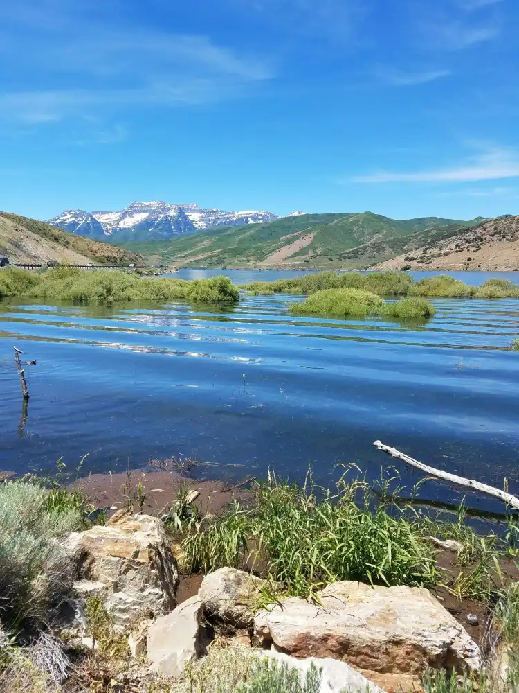 Hotels near Deer Creek