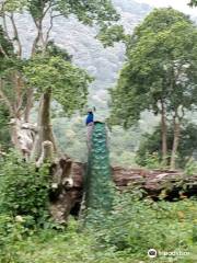 Mudumalai National Park