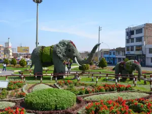 Paseo Cívico de Tacna