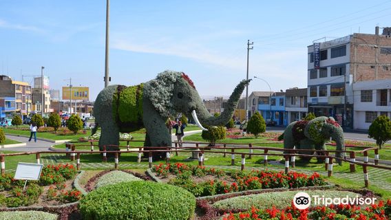 Paseo Cívico de Tacna