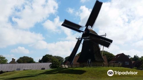 Koren- En Mosterdmolen de Verwachting