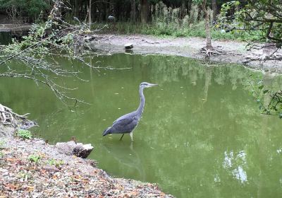 Pole-Nature du Marais aux Oiseaux