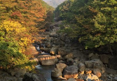 Jirisan National Park