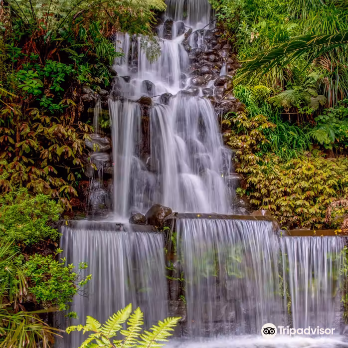 Melbourne to New Plymouth Flights