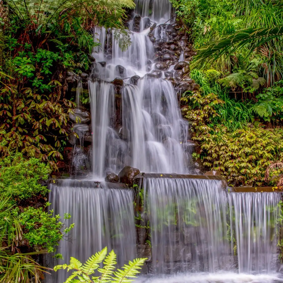 Các khách sạn gần Pukekura Park