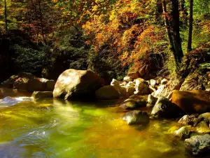 Dovžan gorge