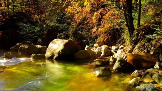 Dovžan gorge