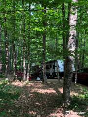 Mohawk Trail State Forest