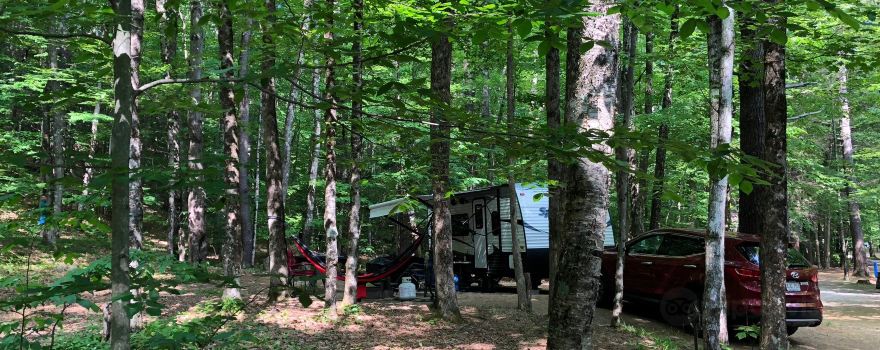 Mohawk Trail State Forest