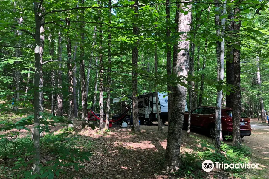 Mohawk Trail State Forest