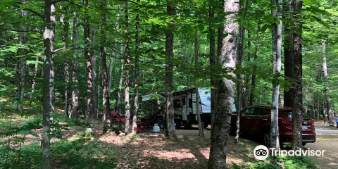 Mohawk Trail State Forest