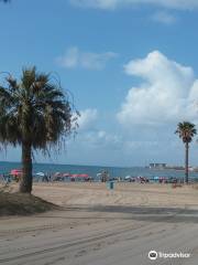 Playa de Los Naufragos