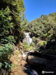 Westmorland Falls Track