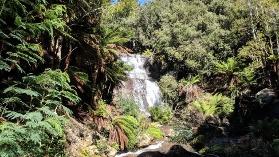 Westmorland Falls Track