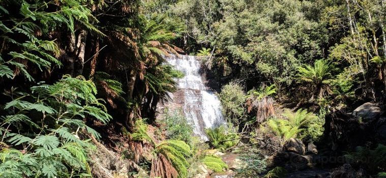 Westmorland Falls Track