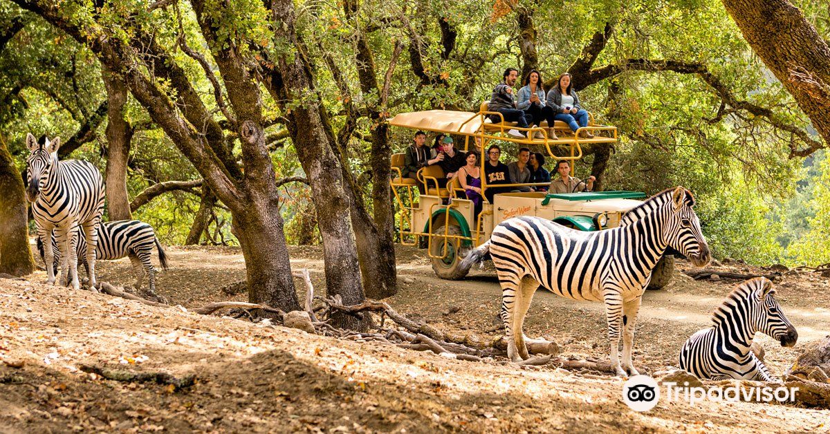 Safari West