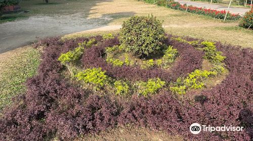 Curzon Hall Garden