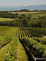 Azienda Agricola Monte del Fra