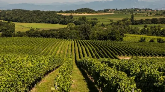 Azienda Agricola Monte del Fra