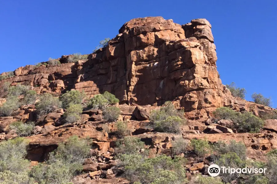 Whyalla Conservation Park