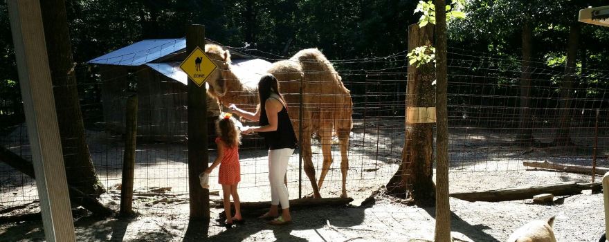 Maggie's Jungle Golf