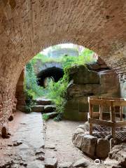 Burgruine Drachenfels