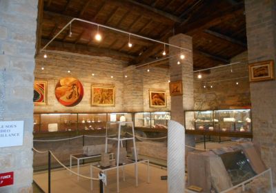 Musée gallo-romain de Tauroentum
