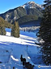 Sleigh Ride in the Tatra National Park