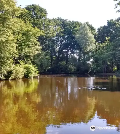 10 Best Things To Do In Crawley West Sussex Crawley Travel Guides 21 Trip Com 10 Best Things To Do In Crawley West Sussex Crawley Travel Guides 21 Trip Com