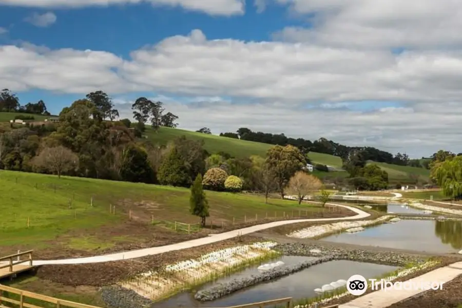 Neerim South Wetland