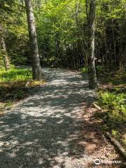 Dollar Lake Provincial Park