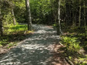 Dollar Lake Provincial Park