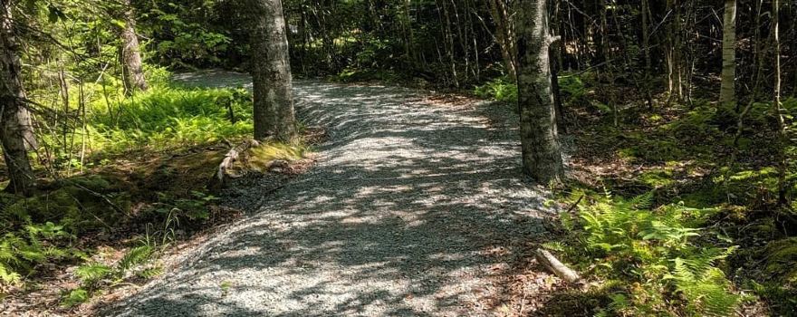 Dollar Lake Provincial Park