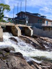 Bala Falls