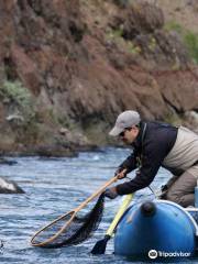 Bariloche Fly Fishing